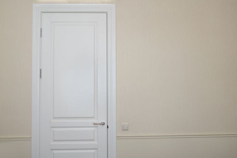 Minimalist Doors